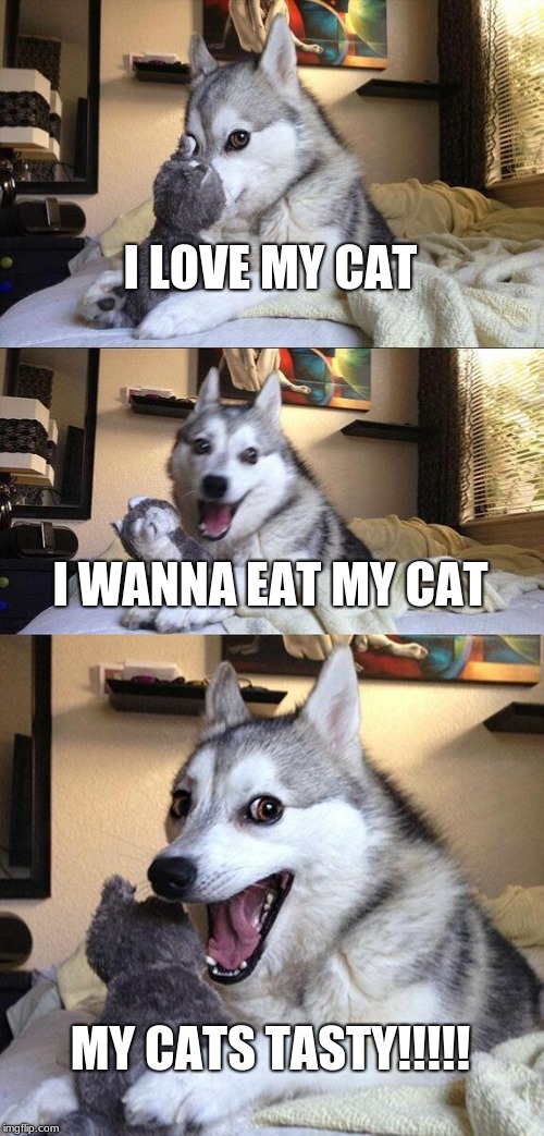 Bad Pun Dog Meme | I LOVE MY CAT; I WANNA EAT MY CAT; MY CATS TASTY!!!!! | image tagged in memes,bad pun dog | made w/ Imgflip meme maker