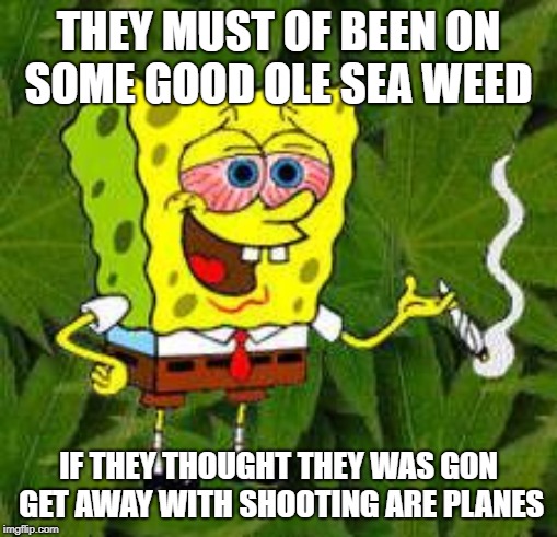 Weed | THEY MUST OF BEEN ON SOME GOOD OLE SEA WEED; IF THEY THOUGHT THEY WAS GON GET AWAY WITH SHOOTING ARE PLANES | image tagged in weed | made w/ Imgflip meme maker