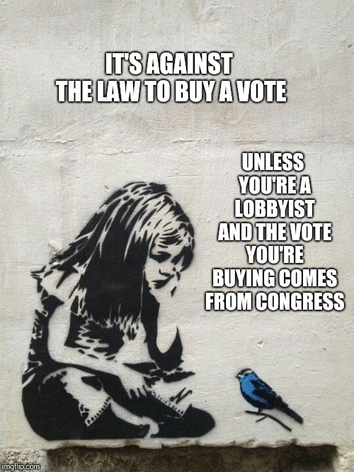 Banksy Learn To Rest | UNLESS YOU'RE A LOBBYIST AND THE VOTE YOU'RE BUYING COMES FROM CONGRESS; IT'S AGAINST THE LAW TO BUY A VOTE | image tagged in banksy learn to rest | made w/ Imgflip meme maker