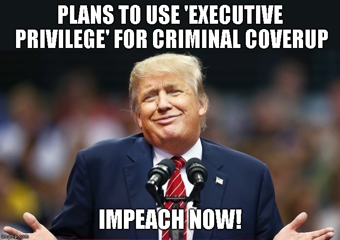 Trump Thinks He Is Above The Law | PLANS TO USE 'EXECUTIVE PRIVILEGE' FOR CRIMINAL COVERUP; IMPEACH NOW! | image tagged in guity trump,trump impeachment,impeach trump,treason,high crimes,criminal | made w/ Imgflip meme maker