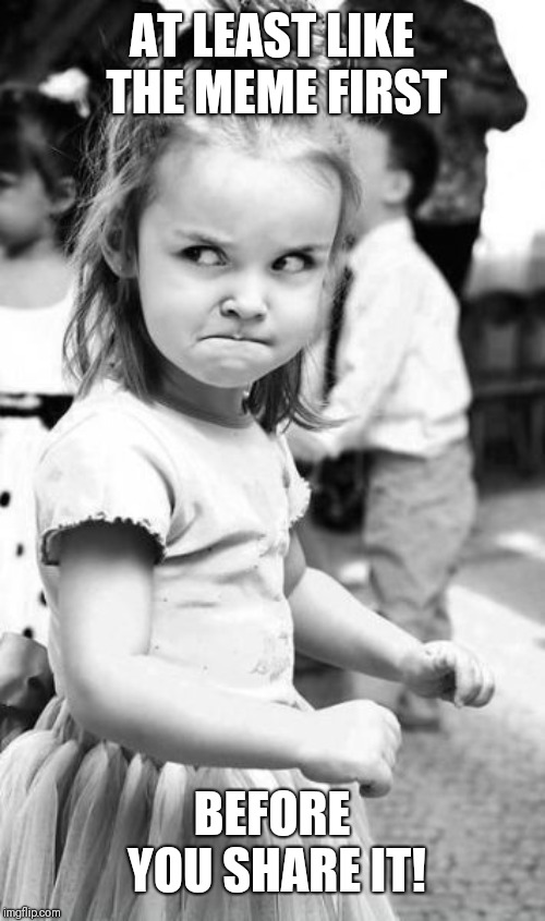 Angry Toddler | AT LEAST LIKE THE MEME FIRST; BEFORE YOU SHARE IT! | image tagged in memes,angry toddler | made w/ Imgflip meme maker