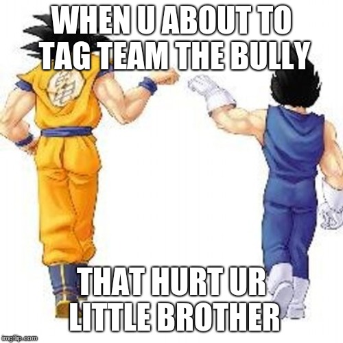 Dragon ball z bros | WHEN U ABOUT TO TAG TEAM THE BULLY; THAT HURT UR LITTLE BROTHER | image tagged in dragon ball z bros | made w/ Imgflip meme maker