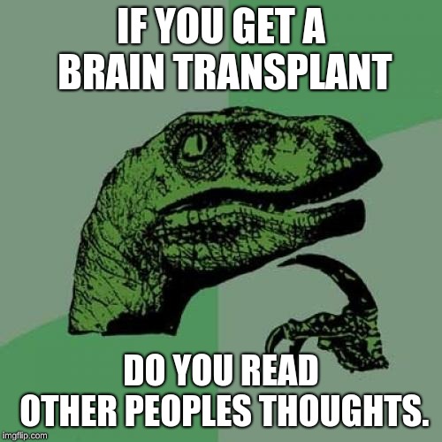 Philosoraptor | IF YOU GET A BRAIN TRANSPLANT; DO YOU READ OTHER PEOPLES THOUGHTS. | image tagged in memes,philosoraptor | made w/ Imgflip meme maker