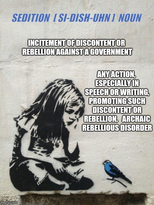This | SEDITION  [ SI-DISH-UHN ]  NOUN; INCITEMENT OF DISCONTENT OR REBELLION AGAINST A GOVERNMENT; ANY ACTION, ESPECIALLY IN SPEECH OR WRITING, PROMOTING SUCH DISCONTENT OR REBELLION. 
 ARCHAIC REBELLIOUS DISORDER | image tagged in banksy learn to rest,learning,learn,knowinghalfthebattle,that moment when you realize,that's a paddlin' | made w/ Imgflip meme maker