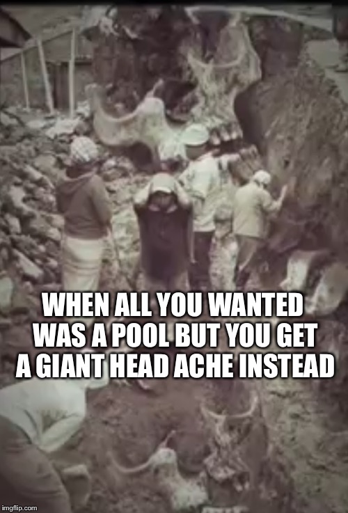 Digging down and finding instant fake new, what a world eh | WHEN ALL YOU WANTED WAS A POOL BUT YOU GET A GIANT HEAD ACHE INSTEAD | image tagged in giants,pools,laos | made w/ Imgflip meme maker