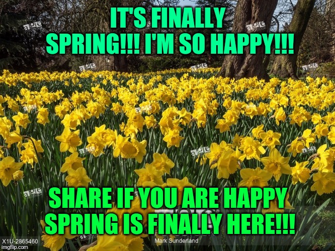 Sunny spring day | IT'S FINALLY SPRING!!! I'M SO HAPPY!!! SHARE IF YOU ARE HAPPY SPRING IS FINALLY HERE!!! | image tagged in sunny spring day | made w/ Imgflip meme maker