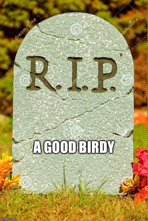 R.I.P. sm | A GOOD BIRDY | image tagged in rip sm | made w/ Imgflip meme maker