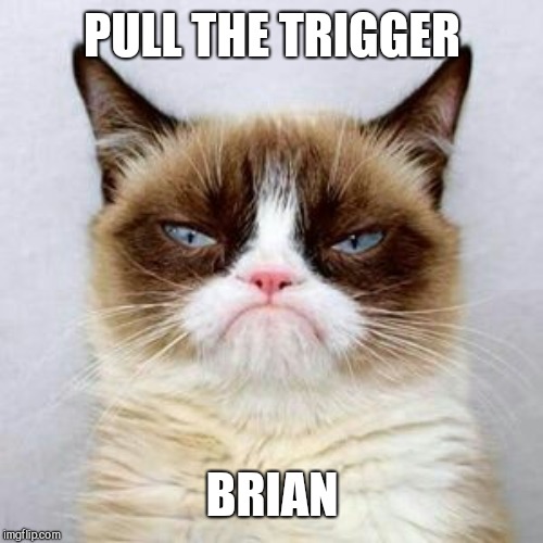 PULL THE TRIGGER BRIAN | made w/ Imgflip meme maker