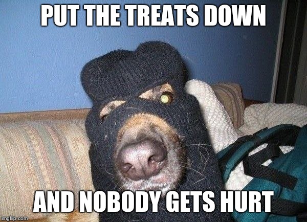 I NEED DEM SCOOBY SNEKS | PUT THE TREATS DOWN; AND NOBODY GETS HURT | image tagged in memes,funny,funny memes,dogs,dog memes | made w/ Imgflip meme maker