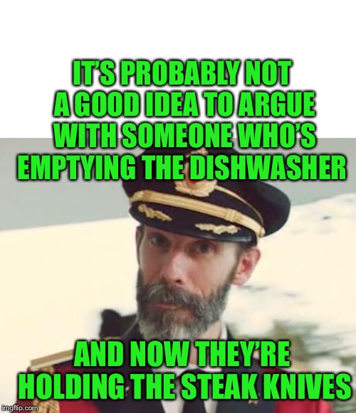 Captain Obvious | IT’S PROBABLY NOT A GOOD IDEA TO ARGUE WITH SOMEONE WHO’S EMPTYING THE DISHWASHER; AND NOW THEY’RE HOLDING THE STEAK KNIVES | image tagged in captain obvious | made w/ Imgflip meme maker