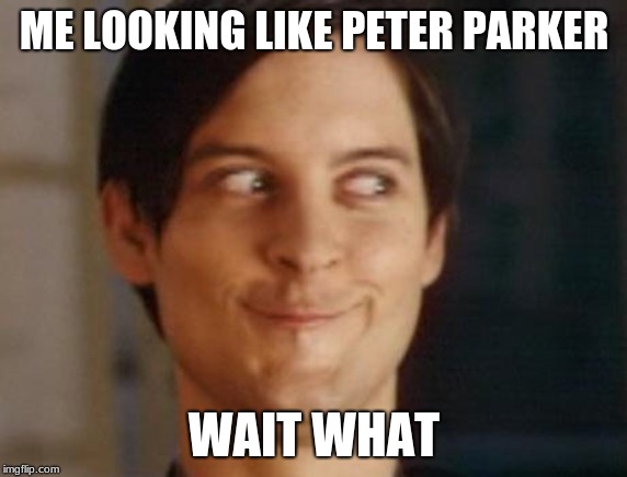 Spiderman Peter Parker Meme | ME LOOKING LIKE PETER PARKER; WAIT WHAT | image tagged in memes,spiderman peter parker | made w/ Imgflip meme maker