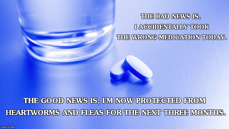 I Feel Funny | THE BAD NEWS IS, I ACCIDENTALLY TOOK THE WRONG MEDICATION TODAY. THE GOOD NEWS IS, I'M NOW PROTECTED FROM HEARTWORMS AND FLEAS FOR THE NEXT THREE MONTHS. | image tagged in bad news,good,medication,fleas | made w/ Imgflip meme maker