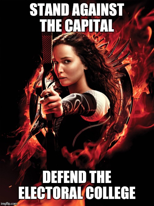 Katniss | STAND AGAINST THE CAPITAL; DEFEND THE ELECTORAL COLLEGE | image tagged in katniss | made w/ Imgflip meme maker