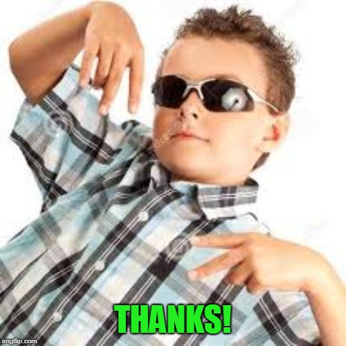 Cool kid sunglasses | THANKS! | image tagged in cool kid sunglasses | made w/ Imgflip meme maker