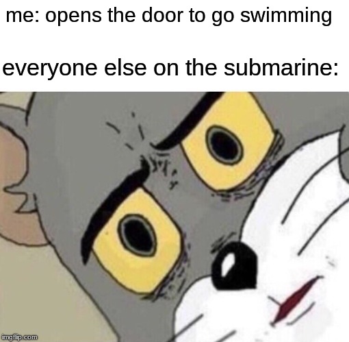 Everyone else  | me: opens the door to go swimming; everyone else on the submarine: | image tagged in me everyone else,memes | made w/ Imgflip meme maker