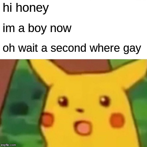 Surprised Pikachu Meme | hi honey; im a boy now; oh wait a second where gay | image tagged in memes,surprised pikachu | made w/ Imgflip meme maker