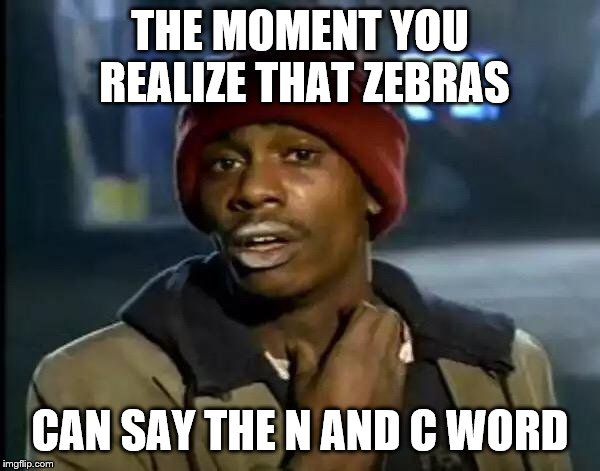 Y'all Got Any More Of That | THE MOMENT YOU REALIZE THAT ZEBRAS; CAN SAY THE N AND C WORD | image tagged in memes,y'all got any more of that | made w/ Imgflip meme maker