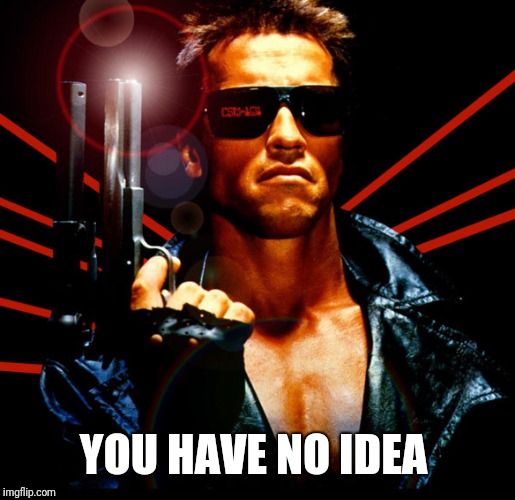the terminator | YOU HAVE NO IDEA | image tagged in the terminator | made w/ Imgflip meme maker