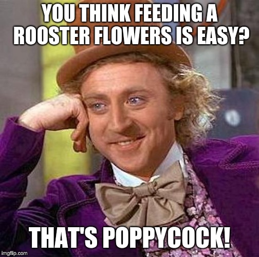 That's Poppycock | YOU THINK FEEDING A ROOSTER FLOWERS IS EASY? THAT'S POPPYCOCK! | image tagged in memes,creepy condescending wonka | made w/ Imgflip meme maker