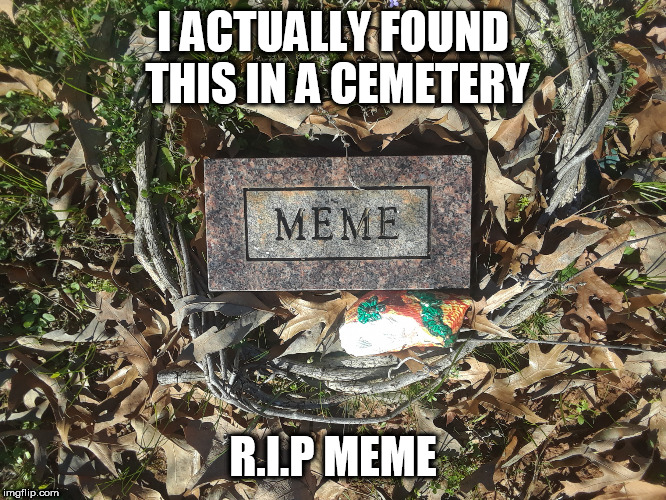 The Dead meme |  I ACTUALLY FOUND THIS IN A CEMETERY; R.I.P MEME | image tagged in meme,funny,cemetery,rip | made w/ Imgflip meme maker
