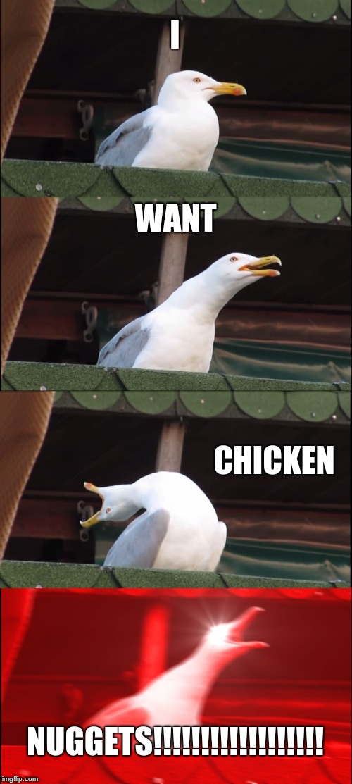 Inhaling Seagull | I; WANT; CHICKEN; NUGGETS!!!!!!!!!!!!!!!!!! | image tagged in memes,inhaling seagull | made w/ Imgflip meme maker
