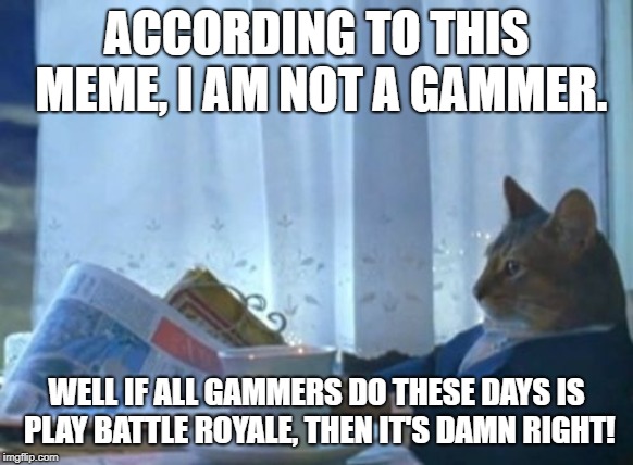 I Should Buy A Boat Cat Meme | ACCORDING TO THIS MEME, I AM NOT A GAMMER. WELL IF ALL GAMMERS DO THESE DAYS IS PLAY BATTLE ROYALE, THEN IT'S DAMN RIGHT! | image tagged in memes,i should buy a boat cat | made w/ Imgflip meme maker
