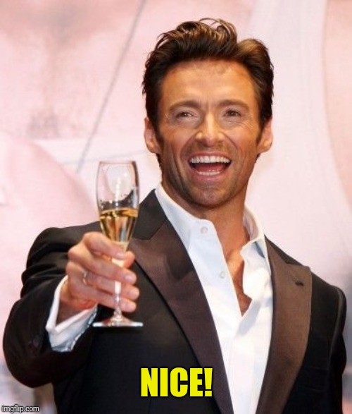 Hugh Jackman Cheers | NICE! | image tagged in hugh jackman cheers | made w/ Imgflip meme maker