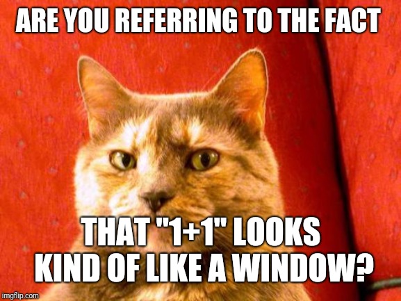 Suspicious Cat Meme | ARE YOU REFERRING TO THE FACT THAT "1+1" LOOKS KIND OF LIKE A WINDOW? | image tagged in memes,suspicious cat | made w/ Imgflip meme maker