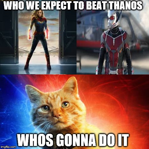 WHO WE EXPECT TO BEAT THANOS; WHOS GONNA DO IT | image tagged in marvel,antman,goose,captain marvel,avengers endgame | made w/ Imgflip meme maker