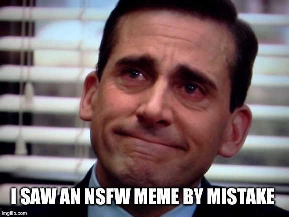 crying steve carell | I SAW AN NSFW MEME BY MISTAKE | image tagged in crying steve carell | made w/ Imgflip meme maker