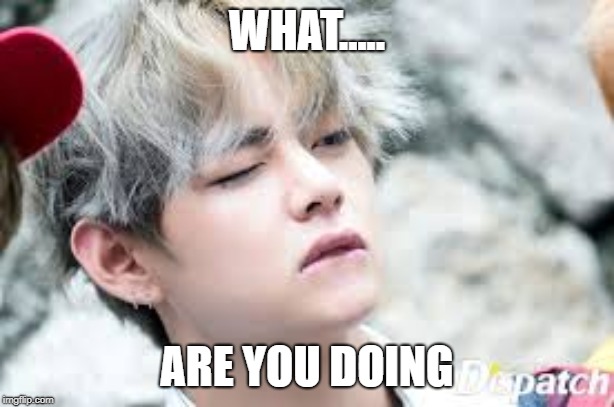 WHAT..... ARE YOU DOING | image tagged in bts | made w/ Imgflip meme maker