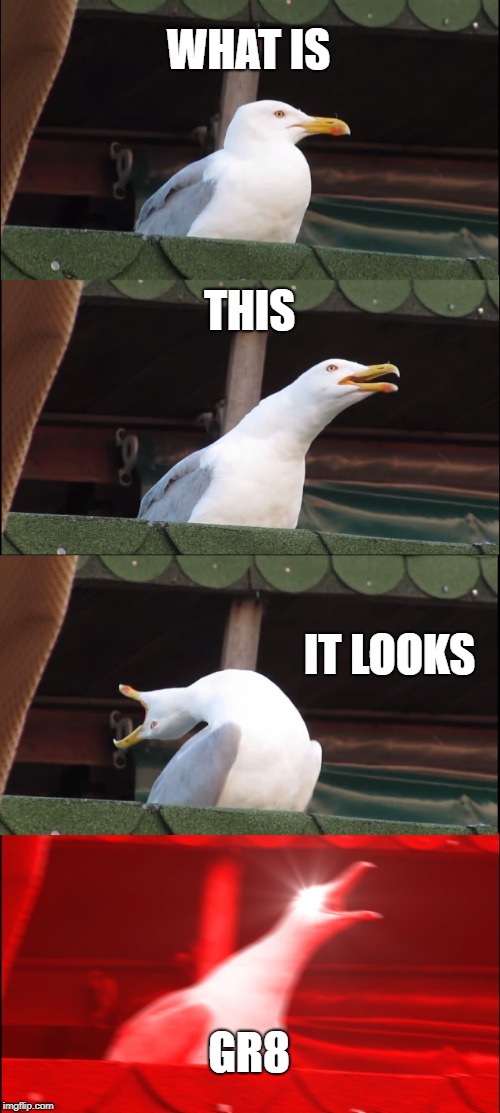 Inhaling Seagull Meme | WHAT IS THIS IT LOOKS GR8 | image tagged in memes,inhaling seagull | made w/ Imgflip meme maker