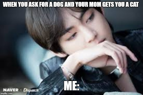 WHEN YOU ASK FOR A DOG AND YOUR MOM GETS YOU A CAT; ME: | image tagged in bts | made w/ Imgflip meme maker