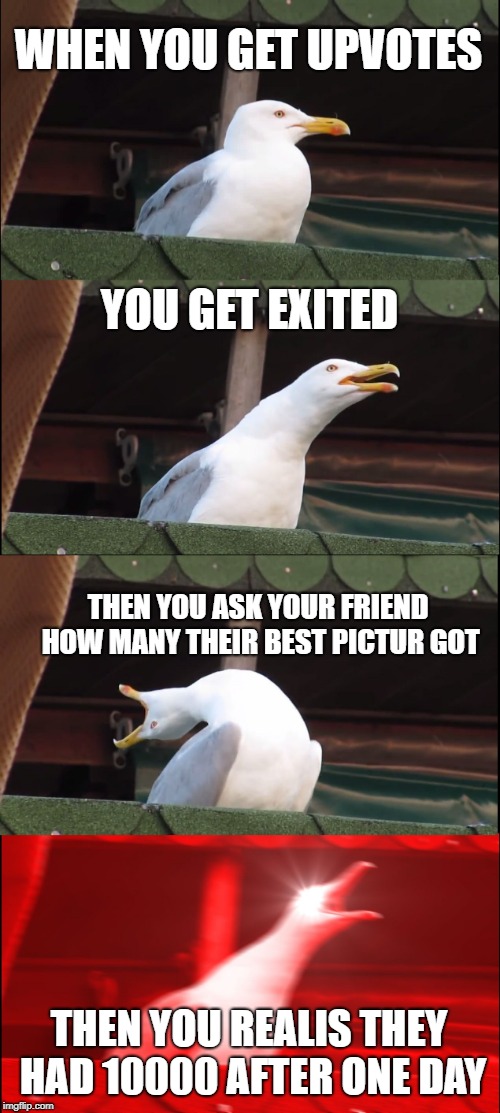 Inhaling Seagull | WHEN YOU GET UPVOTES; YOU GET EXITED; THEN YOU ASK YOUR FRIEND HOW MANY THEIR BEST PICTUR GOT; THEN YOU REALIS THEY HAD 10000 AFTER ONE DAY | image tagged in memes,inhaling seagull | made w/ Imgflip meme maker