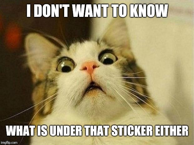 Scared Cat Meme | I DON'T WANT TO KNOW WHAT IS UNDER THAT STICKER EITHER | image tagged in memes,scared cat | made w/ Imgflip meme maker