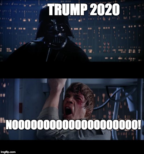 Star Wars No | TRUMP 2020; NOOOOOOOOOOOOOOOOOOOO! | image tagged in memes,star wars no | made w/ Imgflip meme maker