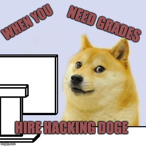 Hacker Doge | NEED GRADES; WHEN YOU; HIRE HACKING DOGE | image tagged in hacker doge | made w/ Imgflip meme maker