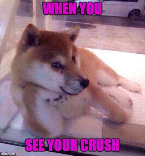 Flirting Doge | WHEN YOU; SEE YOUR CRUSH | image tagged in flirting doge | made w/ Imgflip meme maker