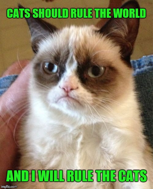 Grumpy Cat Meme | CATS SHOULD RULE THE WORLD AND I WILL RULE THE CATS | image tagged in memes,grumpy cat | made w/ Imgflip meme maker