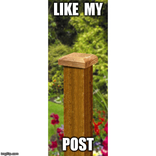 LIKE  MY; POST | image tagged in like my post | made w/ Imgflip meme maker