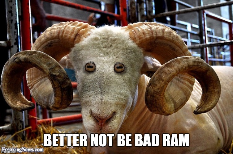 BETTER NOT BE BAD RAM | made w/ Imgflip meme maker