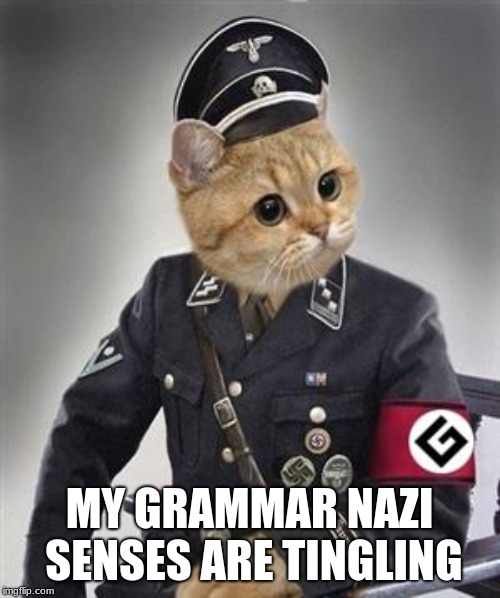 Grammar Nazi Cat | MY GRAMMAR NAZI SENSES ARE TINGLING | image tagged in grammar nazi cat | made w/ Imgflip meme maker