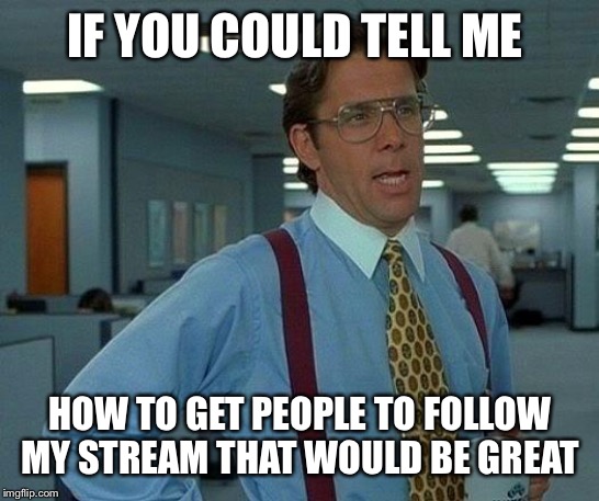 That Would Be Great | IF YOU COULD TELL ME; HOW TO GET PEOPLE TO FOLLOW MY STREAM THAT WOULD BE GREAT | image tagged in memes,that would be great | made w/ Imgflip meme maker