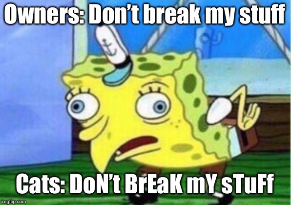 Mocking Spongebob | Owners: Don’t break my stuff; Cats: DoN’t BrEaK mY sTuFf | image tagged in memes,mocking spongebob | made w/ Imgflip meme maker