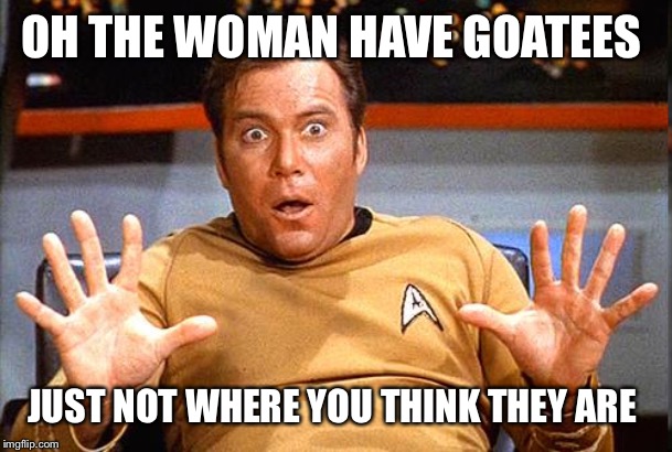 Star Trek | OH THE WOMAN HAVE GOATEES JUST NOT WHERE YOU THINK THEY ARE | image tagged in star trek | made w/ Imgflip meme maker