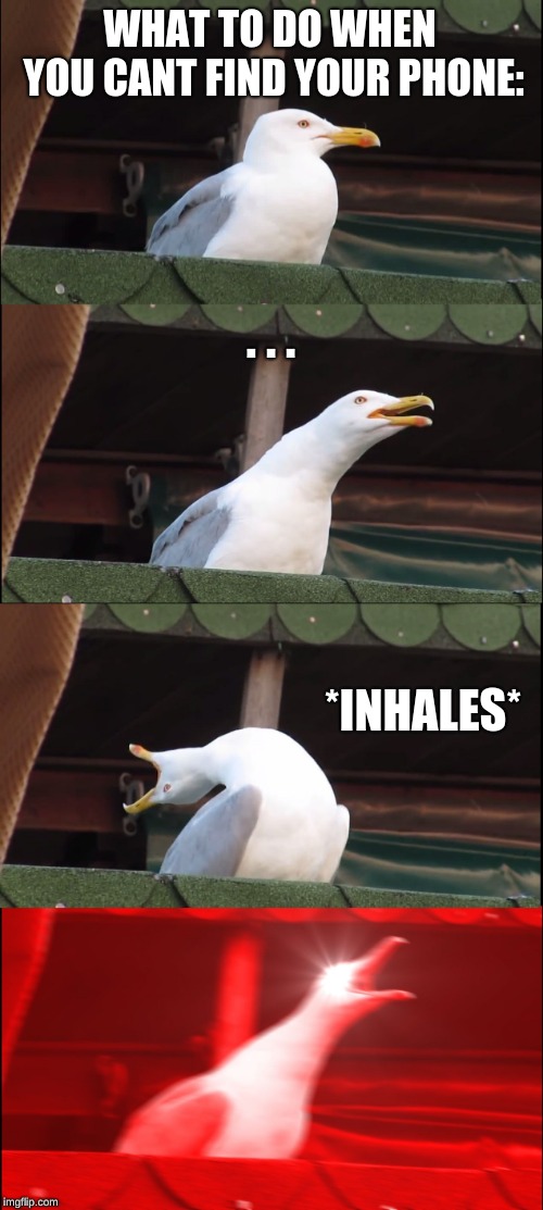 Inhaling Seagull Meme | WHAT TO DO WHEN YOU CANT FIND YOUR PHONE:; . . . *INHALES* | image tagged in memes,inhaling seagull | made w/ Imgflip meme maker