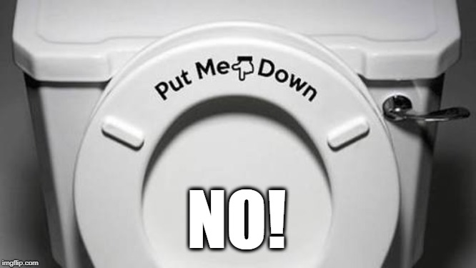 Toilet seat down | NO! | image tagged in toilet seat down | made w/ Imgflip meme maker