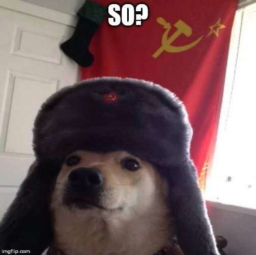 Russian Doge | SO? | image tagged in russian doge | made w/ Imgflip meme maker