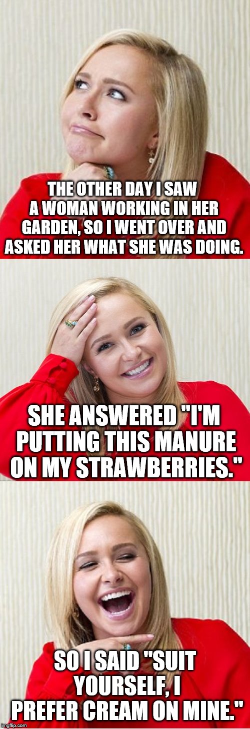 Bad Pun Hayden 2 | THE OTHER DAY I SAW A WOMAN WORKING IN HER GARDEN, SO I WENT OVER AND ASKED HER WHAT SHE WAS DOING. SHE ANSWERED "I'M PUTTING THIS MANURE ON MY STRAWBERRIES."; SO I SAID "SUIT YOURSELF, I PREFER CREAM ON MINE." | image tagged in bad pun hayden 2 | made w/ Imgflip meme maker