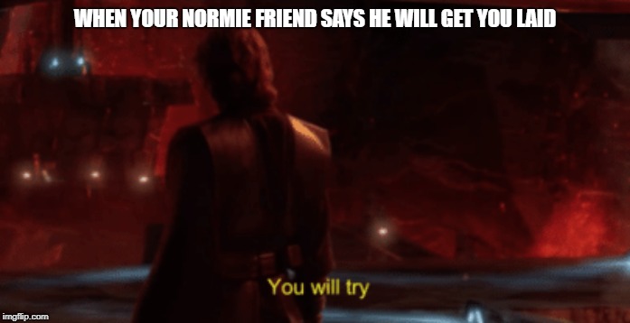 WHEN YOUR NORMIE FRIEND SAYS HE WILL GET YOU LAID | image tagged in normie | made w/ Imgflip meme maker